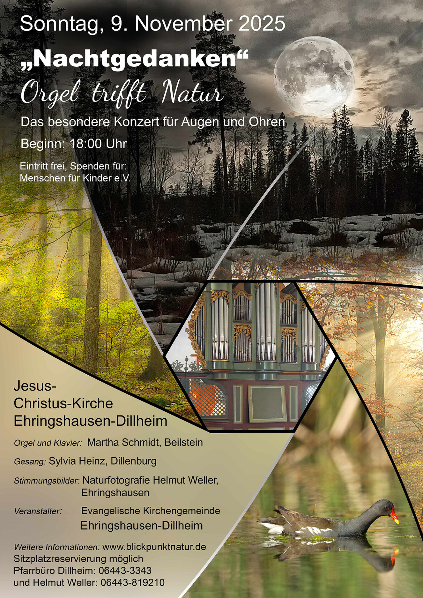 Orgel trifft Natur_9.11.25_Werbung